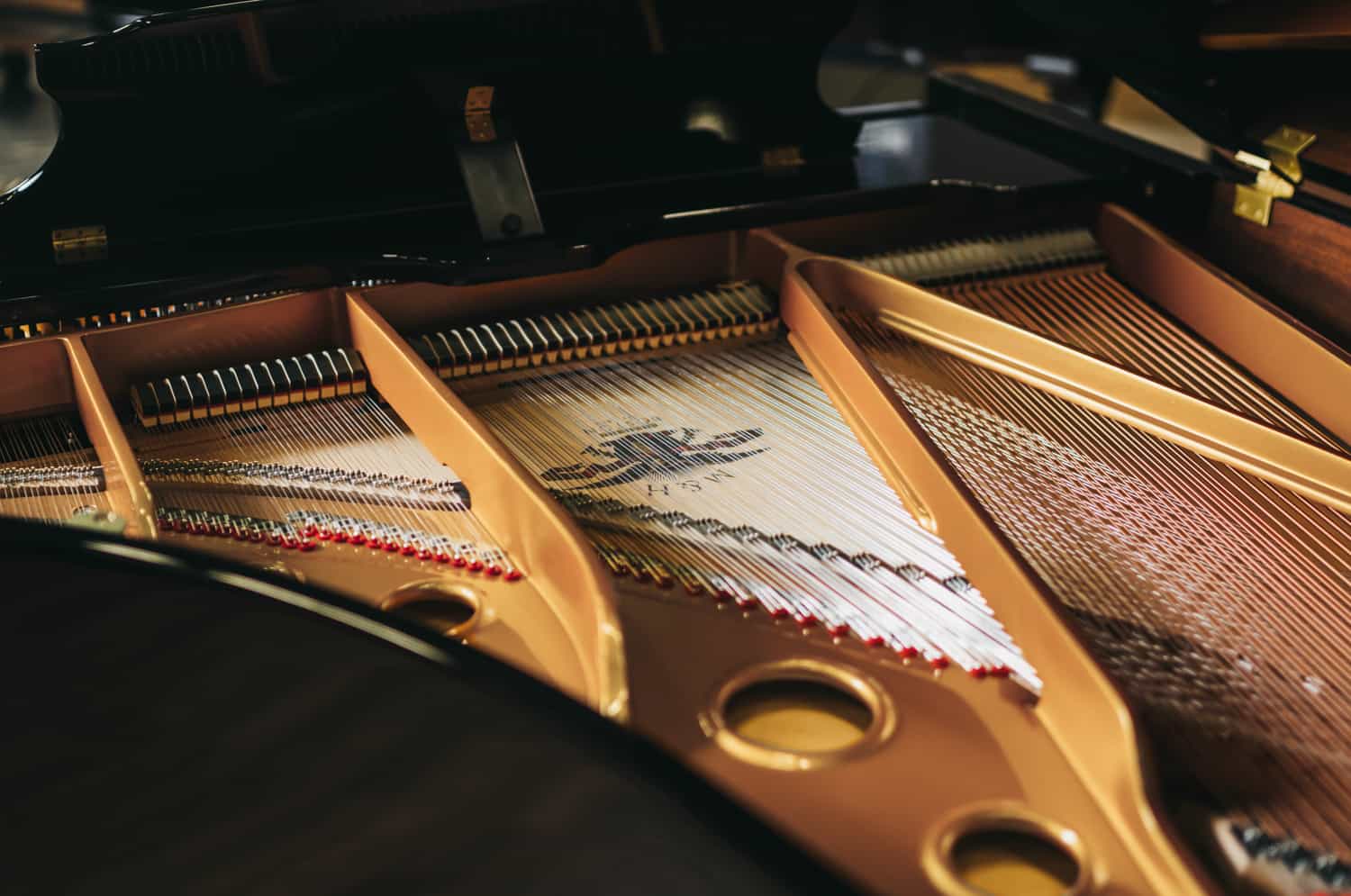 MHA 188 Artist Series Side Plate Shot • Mason & Hamlin Piano Company • Made in the USA